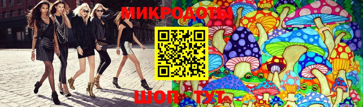 Псилоцибиновые грибы Psilocybine cubensis Абинск