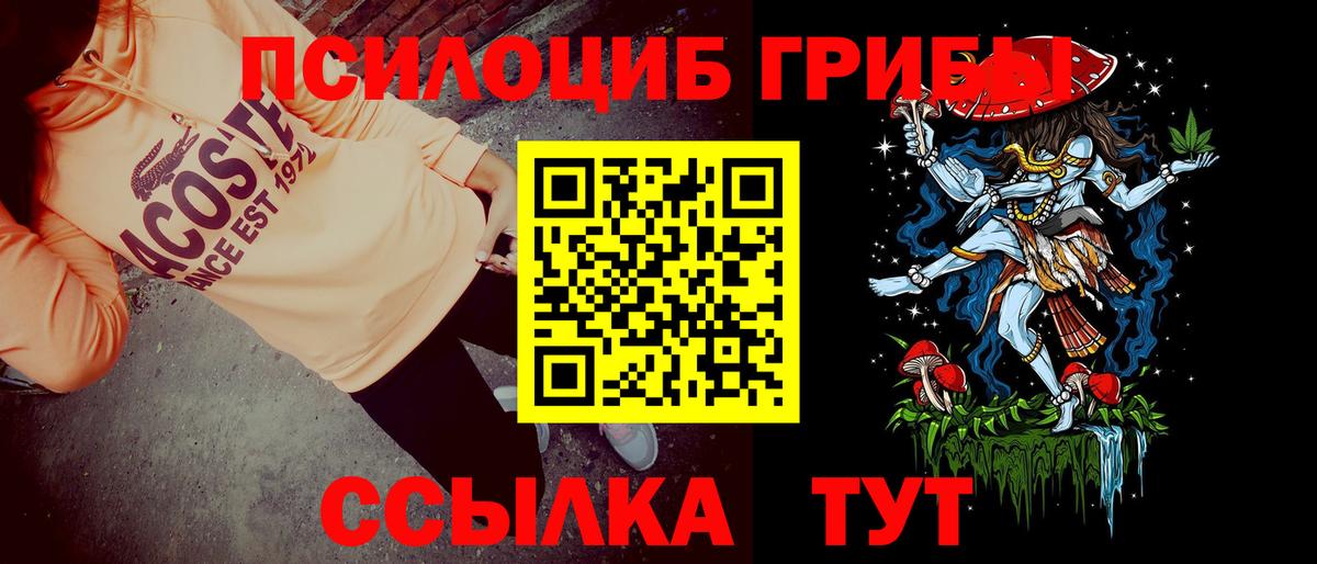 Абинск  Псилоцибиновые грибы GOLDEN TEACHER  Вход с VPN 